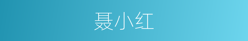 聂小红的同义词