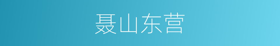 聂山东营的同义词