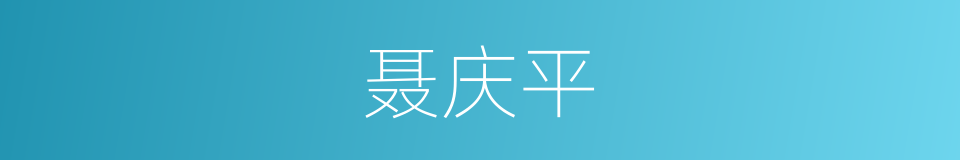 聂庆平的同义词