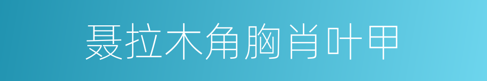 聂拉木角胸肖叶甲的同义词