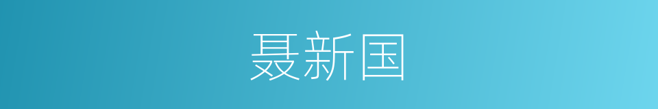 聂新国的同义词