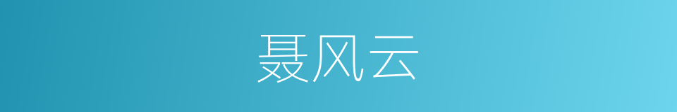 聂风云的同义词
