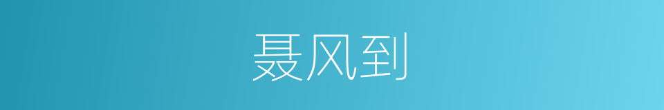 聂风到的同义词