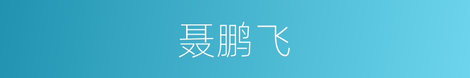 聂鹏飞的同义词