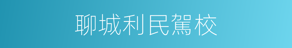 聊城利民駕校的同義詞