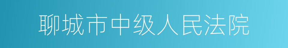 聊城市中级人民法院的同义词