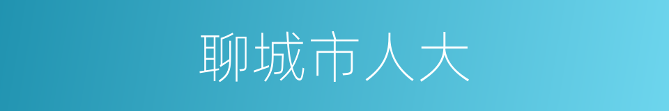 聊城市人大的同义词