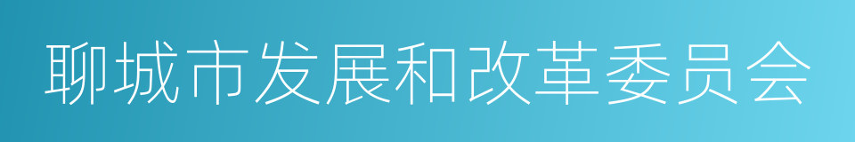 聊城市发展和改革委员会的同义词