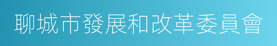 聊城市發展和改革委員會的同義詞