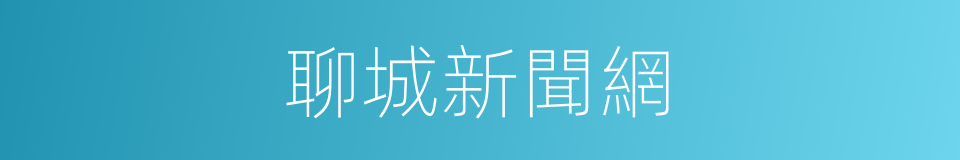 聊城新聞網的同義詞