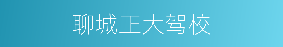 聊城正大驾校的同义词