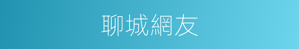 聊城網友的同義詞