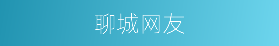 聊城网友的同义词