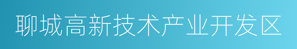 聊城高新技术产业开发区的同义词