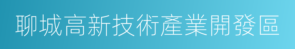 聊城高新技術產業開發區的同義詞