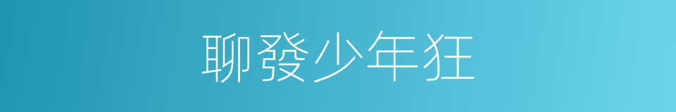 聊發少年狂的同義詞