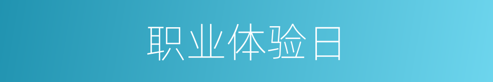 职业体验日的同义词