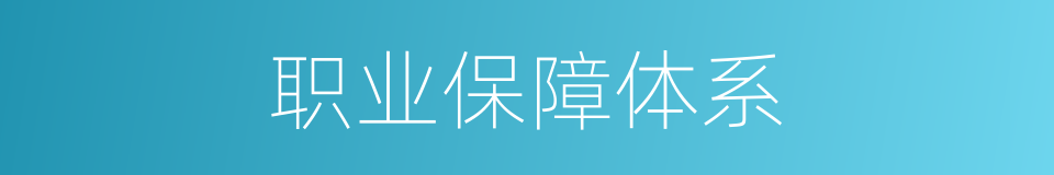 职业保障体系的同义词