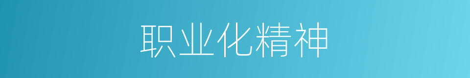 职业化精神的同义词