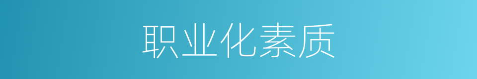 职业化素质的同义词