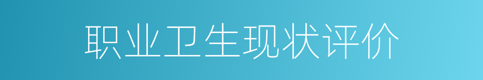 职业卫生现状评价的同义词