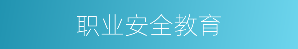 职业安全教育的同义词