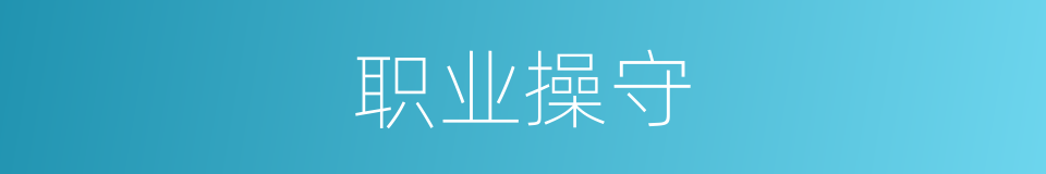 职业操守的意思