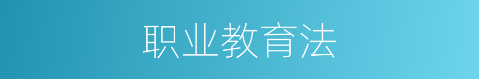 职业教育法的同义词