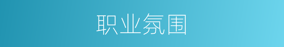 职业氛围的同义词