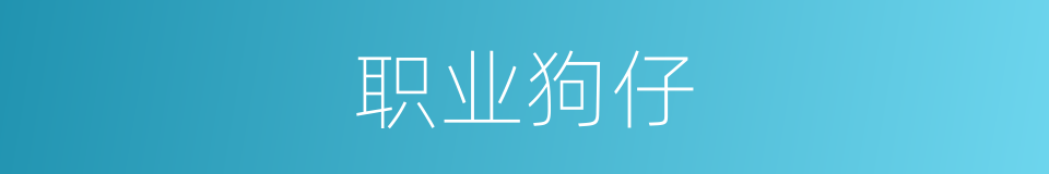 职业狗仔的同义词