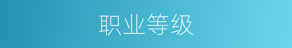 职业等级的同义词