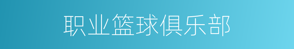 职业篮球俱乐部的同义词