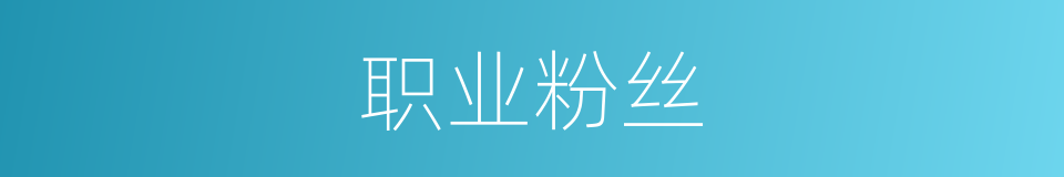 职业粉丝的意思