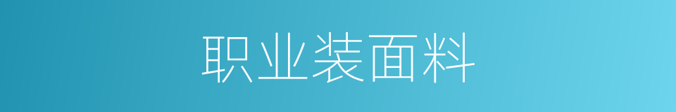 职业装面料的同义词