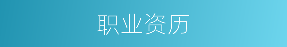 职业资历的同义词