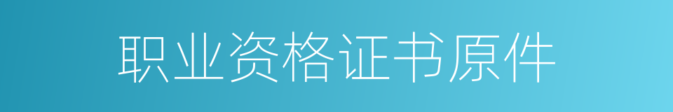 职业资格证书原件的同义词