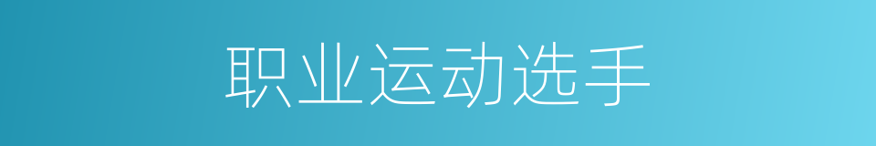 职业运动选手的同义词