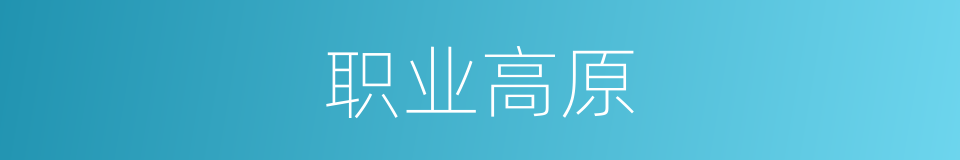 职业高原的同义词
