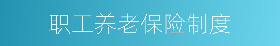 职工养老保险制度的同义词