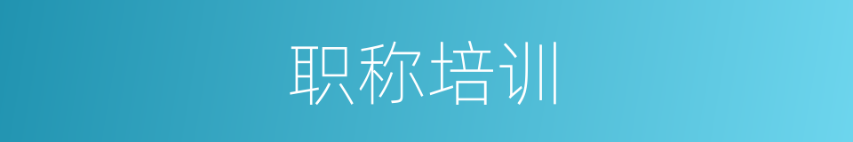 职称培训的同义词
