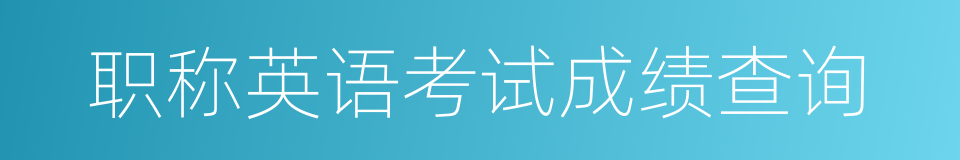 职称英语考试成绩查询的同义词