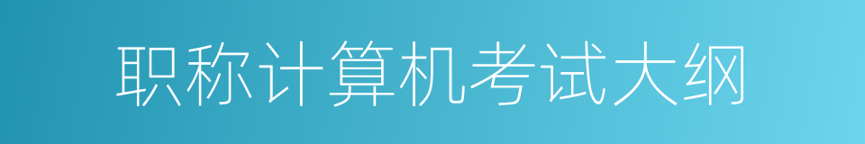 职称计算机考试大纲的同义词