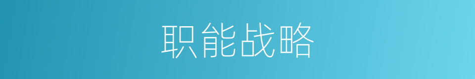 职能战略的同义词