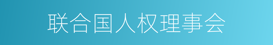联合国人权理事会的同义词