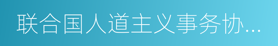 联合国人道主义事务协调办公室的同义词