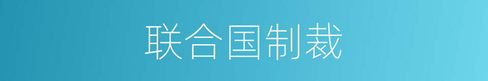 联合国制裁的同义词
