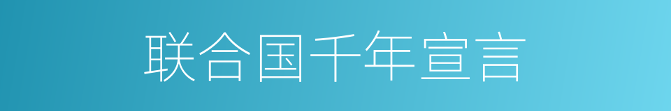 联合国千年宣言的同义词