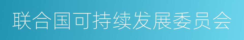 联合国可持续发展委员会的同义词