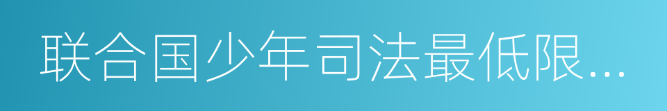 联合国少年司法最低限度标准规则的同义词