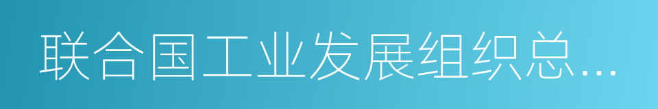 联合国工业发展组织总干事李勇的同义词